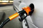  外媒：汽油需求量将在未来七年达到峰值