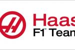 汽车赛事 Haas F1 Team/哈斯车队