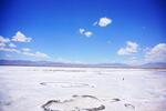  比亚迪：青海盐湖碳酸锂项目备案