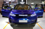  中国新能源汽车初创公司需抱团取暖