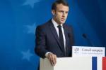  法国总统：日产-雷诺联盟关系必须得以强化