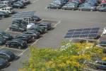  纽约新增50个Envision Solar太阳能充电设备