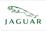  Jaguar Racing/捷豹车队