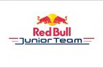 汽车赛事 Red Bull Junior Team/红牛少年车队