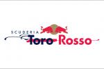  Scuderia Toro Rosso/红牛第二车队